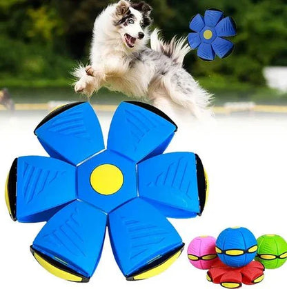 CanineGlider - PELOTA DE FRISBEE DE PERRO - Mi tienda