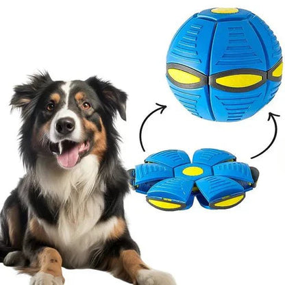 CanineGlider - PELOTA DE FRISBEE DE PERRO - Mi tienda