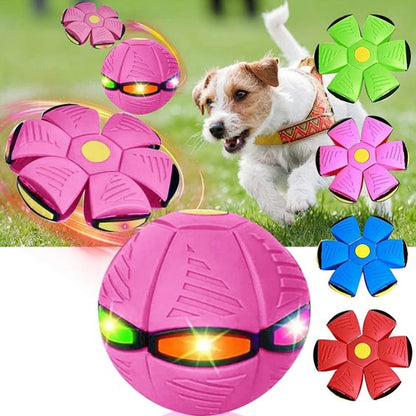 CanineGlider - PELOTA DE FRISBEE DE PERRO - Mi tienda